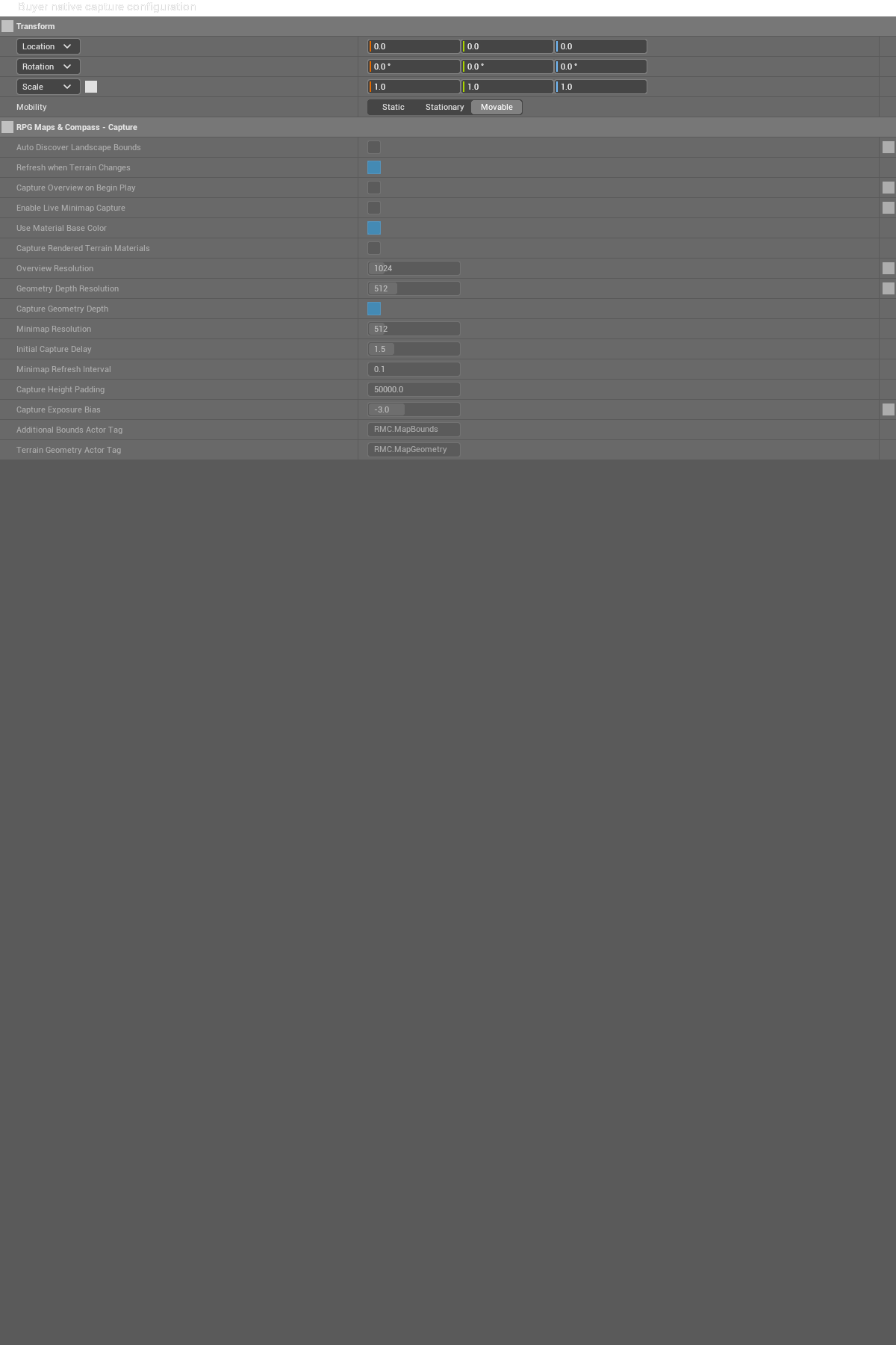 BP_RMC_BuyerCapture / NativeParameters-Capture — retained configuration/reference capture