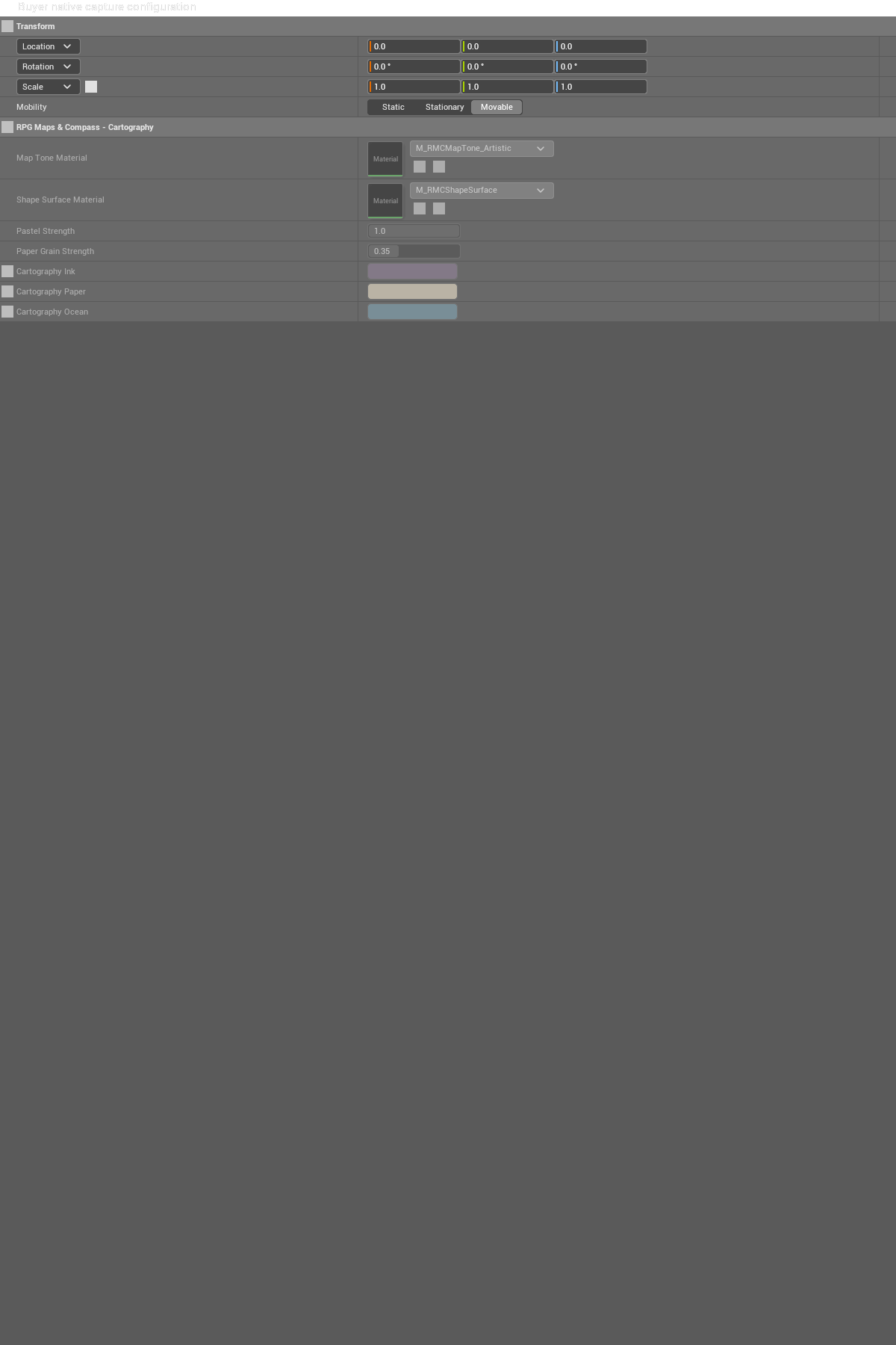 BP_RMC_BuyerCapture / NativeParameters-Cartography — retained configuration/reference capture