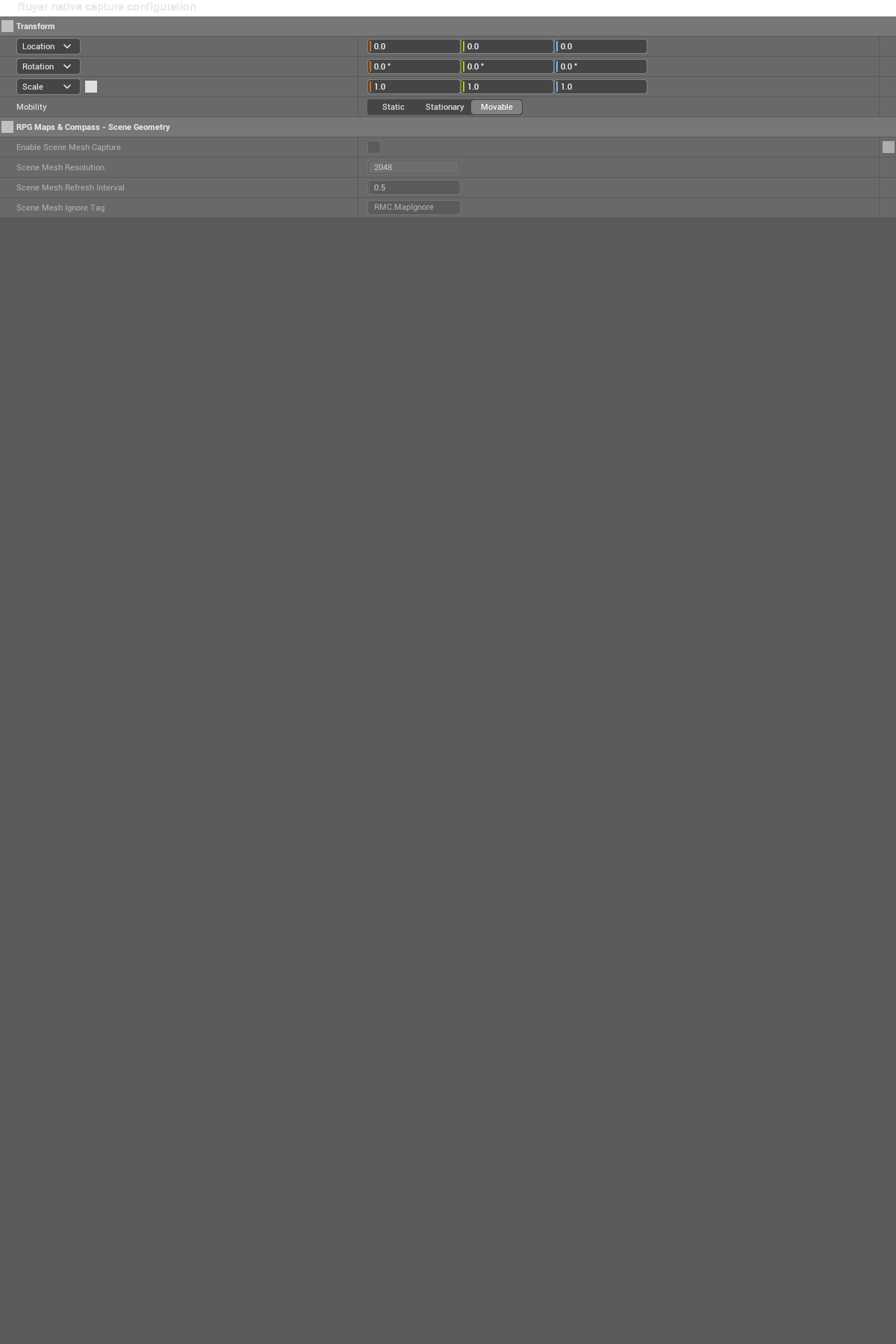 BP_RMC_BuyerCapture / NativeParameters-SceneGeometry — retained configuration/reference capture