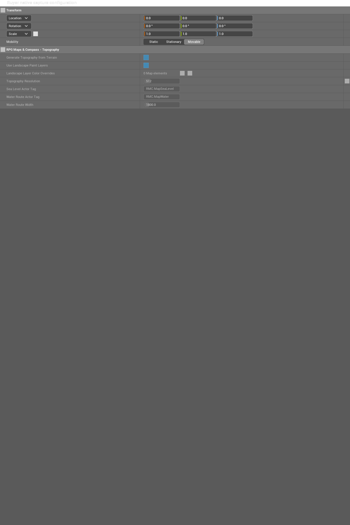 BP_RMC_BuyerCapture / NativeParameters-Topography — retained configuration/reference capture
