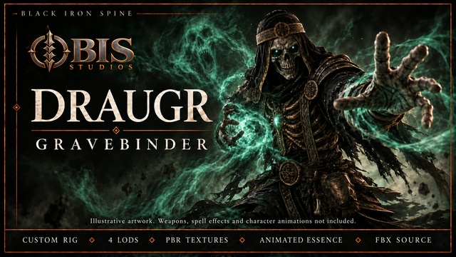 Draugr Gravebinder | Rigged Undead Caster Character — product artwork